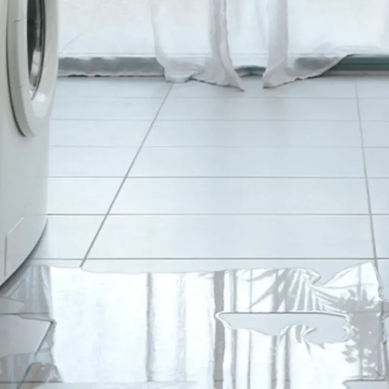 Appliance Leak Cleanup in Wheaton, MD